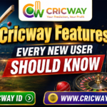 Cricway Features Every New User Should Know