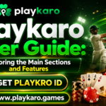 Playkaro User Guide: Exploring the Main Sections and Features